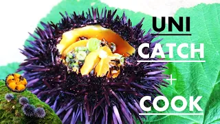Coastal Foraging for Sea Urchin (Uni): Mendocino Sea Urchin Festival!