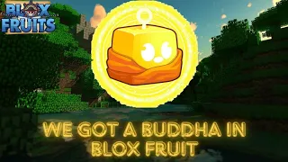 I got Buddha Fruit in Blox fruit