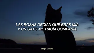 Roberto Carlos | El gato que está triste y azul - Letra