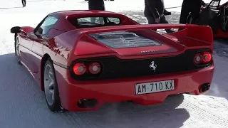 FERRARI F50 "Every Automobile Enthusiast's Dream" / Mini-Documentary & Compilation