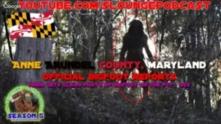 Southern Maryland Bigfoot Encounters - SLP538