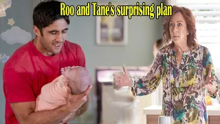 Home and Away spoilers: Roo and Tane plan to prepare to cooperate for baby Maia.