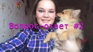 Вопрос-ответ #2