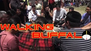 🔥Walking 🚶‍♂️Buffalo🐂(Flag/Vicorty Song) @ Eastern Shoshone Indian Days (Fort Washakie) Powwow 2019🔥