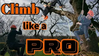 How to climb a tree (Like a PRO) | Arborist flips, jumps and swings!