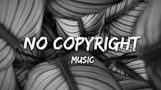 No Copyright Music