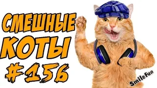 Приколы с котами - Смешные Кошки и Коты 2018 ДО СЛЁЗ - Funny Cats