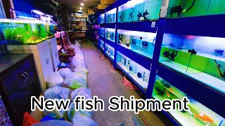 "Unboxing Our Exciting New Tropical Fish Shipment! 🐠📦 | Dive into the Aquatic Adventure!"