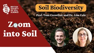 Zoom into Soil: Soil Biodiversity