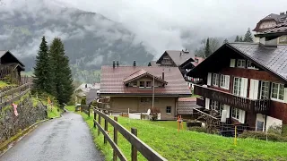 وينجن سويسرا - جولة في الريف السويسري