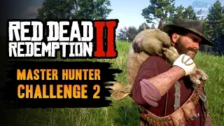 Red Dead Redemption 2 Master Hunter Challenge #2 Guide - Collect 3 perfect quality Rabbit pelts