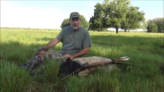 Traditional Longbow Wild Pig Harvest