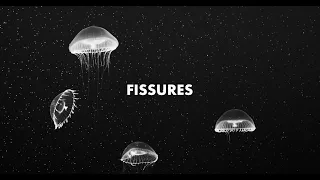 Fissures: a dream sequence of the world