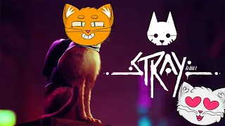 ВИДОСОВ НА КАНАЛЕ НЕ БЫЛО 10 МЕСЯЦЕВ, ВЫ ЧОООО? А, НУ ДА, ЭТО ЖЕ STRAY  ̶K̶I̶D̶S̶ #1