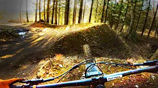 Bellingham's Most Classic Jump Trail? - Unemployment Line