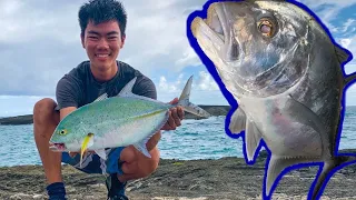 FISHING FOR ULUA!  | Overnight Fishing Trip | Fishing for Papio | Fishing in Hawaii |