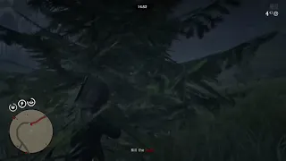 RDR2: Close call