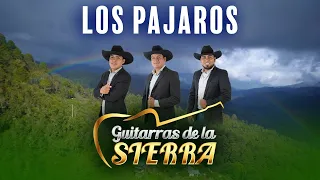 Los Pajaros