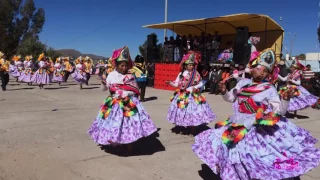 LLAMERADA - TINICACHI (Cristo Asención)