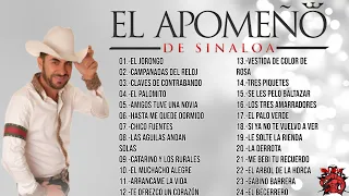 El Apomeño de Sinaloa Mix