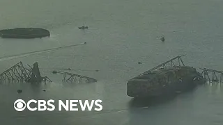 Witness describes Baltimore bridge collapse: "Felt like an earthquake"