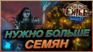 НУЖНО БОЛЬШЕ СЕМЯН 🔥 Новая лига ЖАТВА 🔥 Вихрь стрел (Торнадо шот) 🔥 [Path of Exile Жатва]