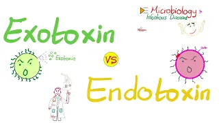 Exotoxins vs Endotoxins | Microbiology 🧫 & Infectious Diseases 🦠