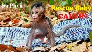 Real Action! Rescue Abandon Baby CALVIN, Take From Chiko, Give Milk, Send To Mom Casi