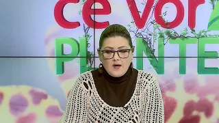 Ce vor plantele Cristina Ghibu partea 1 2023 02 06