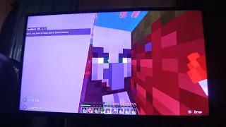 My Video From Minecraft On Nintendo Switch #71