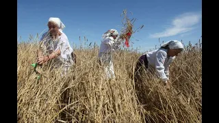 Русская народная песня За горою у колодца