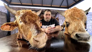Cooking big cow heads! Traditional recipe
