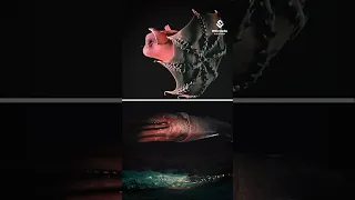 Meet the Real King of the Ocean: The Pistol Shrimp!