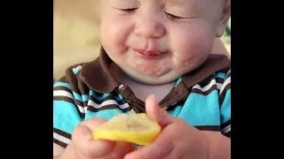 Babies Eating Lemons for First Time(NEW HD)