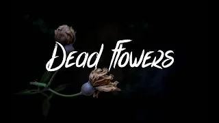 Nightlane - Dead Flowers (Lyrics / Lyric Video) feat. Jordyn Kane