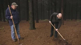 A Family of Truffle Hunters