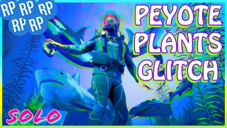 Peyote Plants RP Glitch GTA Online - Easy & Solo RP Glitch!