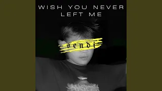 Wish You Never Left Me