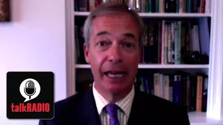 Nigel Farage: Illegal migration poses genuine national security risk