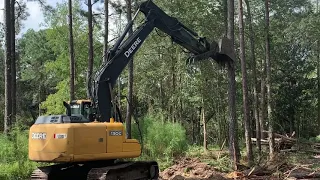 130G John Deere clearing pines