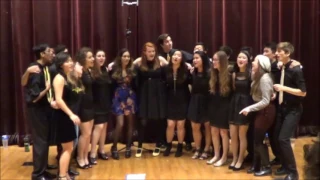 Everybody Wants to Be a Cat - The Aristocats A Cappella