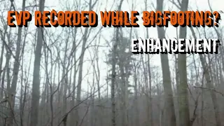 EVP Recorded While Bigfooting? | Enhancement