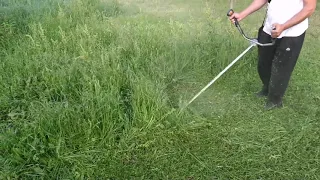 STIHL FS 55, košenje strunom (AutoCat 26-2), some grass cutting  https://youtu.be/XlJJcUH3634