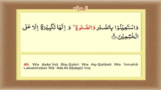 Al-Baqarah Surah 02 - Ayat -45 Word by word learning Quran in video in 4K