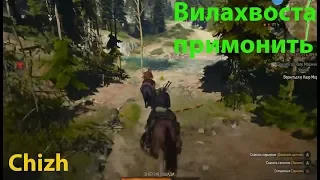 The Witcher 3 - дабы вилахвоста приманить.