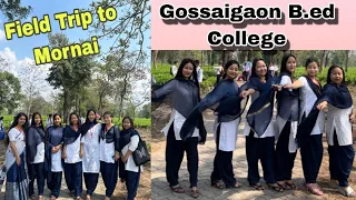 Field Trip to Mornai Tea Estate🥰 || Gossaigaon B.Ed College