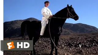 The Black Stallion Returns (1983) - You Are The One Rider Scene (8/12) | Movieclips