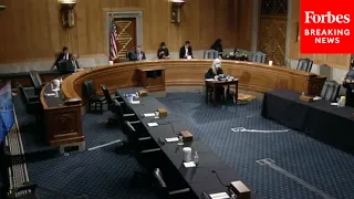 Key Biden Judicial Nominees Testify Before Senate Homeland Security Committee