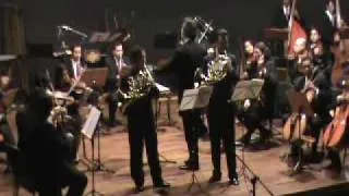 Haydn concerto for 2 horns 3rd movement