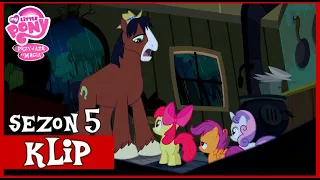 Troubleshoes | My Little Pony | Sezon 5 | Odcinek 6 | Ścigany | FULL HD